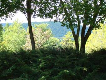 Bed & Breakfast The Cottage