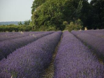 Villa Gite De Garance