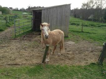 G�te Monts�rs, 3 Pi�ces, 4 Personnes - Fr-1-600-67