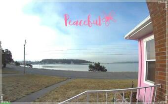 295 The Little Pink House