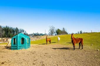 The Cottage At Rusty Bar Ranch