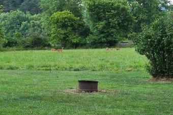 Family Home With Kayaks, Dock And Fire Pit!
