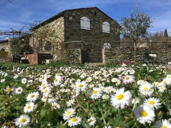 Bed & Breakfast Chambres D'h�tes Et Studios De Charme - A Mandria