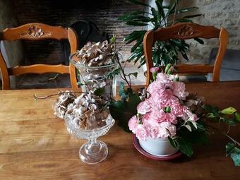 Bed & Breakfast Chambres D'h�tes Du Tilleul