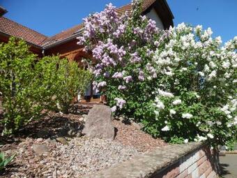 Bed & Breakfast Chambres D'h�tes L'altenberg