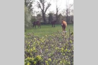 G�te Les Hirondelles � La Ferme Du Souvenir
