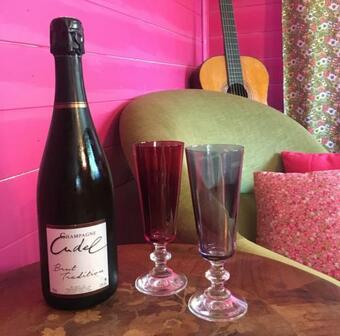 Roulotte Insolite Avec Terrasse Proche Paris Disney