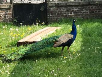 Bed & Breakfast Chambre D'h�tes "coquelicot"