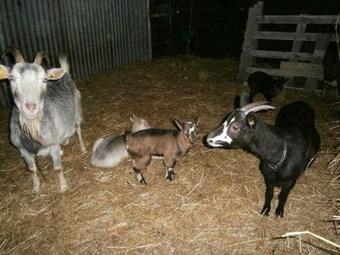 Maison En Boischaut Sud
