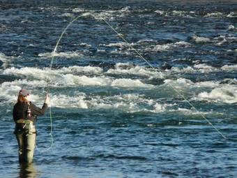Motel Henry's Fork Inn