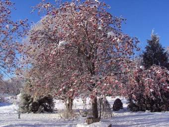 Northside School Bed & Breakfast