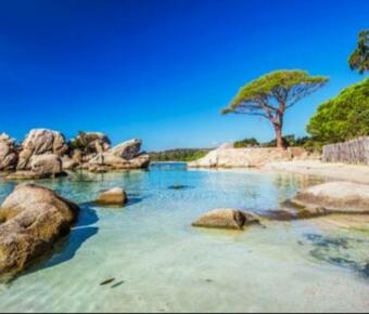 Les Bergeries De Piazzagine