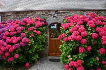 Gite � La Ferme Ty Coz - Piscine Chauff�e