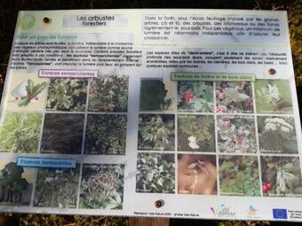 Apartamento Gite La C�te