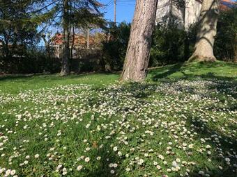 Red Cedar Villa Appartements