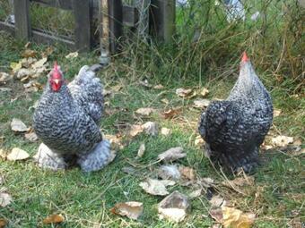 Bed & Breakfast Au Parfum Des Lavandes