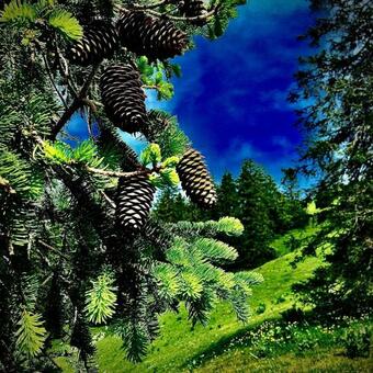 Apartamento Appartement De 50 M2 Au Pied Des Pistes