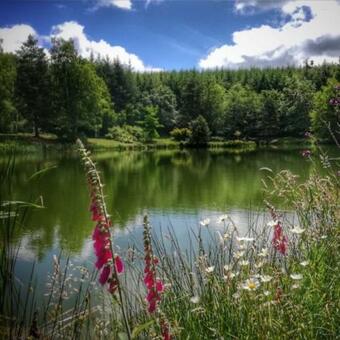 Les Brizards, L'auberge - Morvan (22 Personnes)
