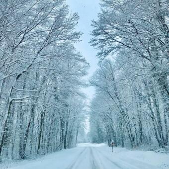 Apartamento Love Viou