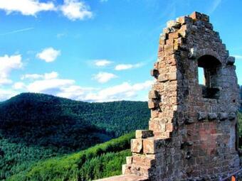 Apartamento La Petite Maison De Vinylous
