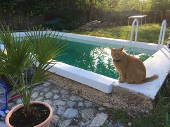 Bed & Breakfast Mas De La Pauze