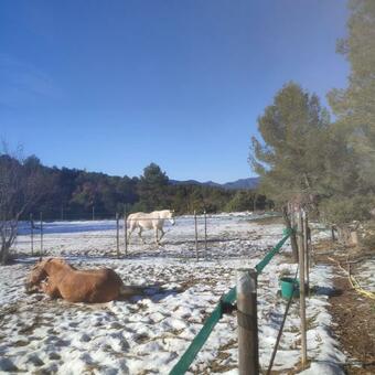 Hostal La Margotti�re Chez Isa Et Titi