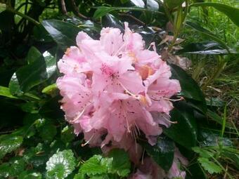 Hostal Un Weekend A Rochefort-en-terre