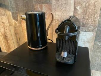 Apartamento Jungle Room