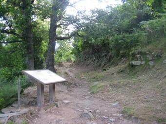 Apartamento Appartement Avec Vue Sur Saint Florent