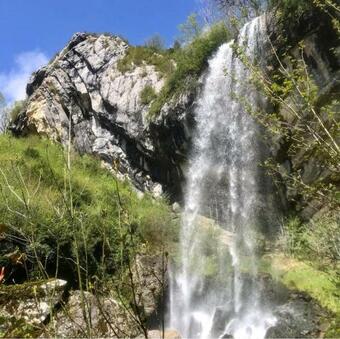 Apartamento Appartement Proche De La Ville Et Du Parc Du Truchet