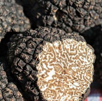 #private Scandinave Sweet House !