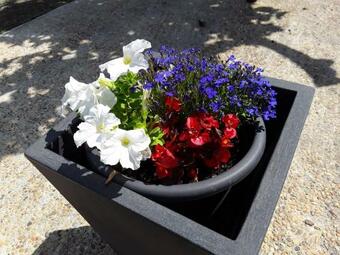 Hostal L'oustau De Malo