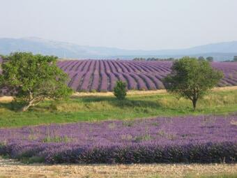 Bed & Breakfast Ferme Para Lou