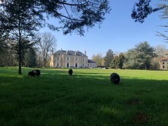 Manoir Le Mingreaud-bungalows