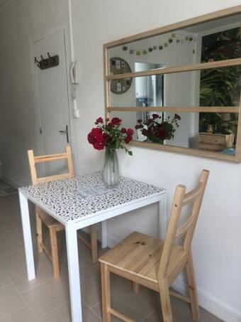 Apartamento Studio Jungle