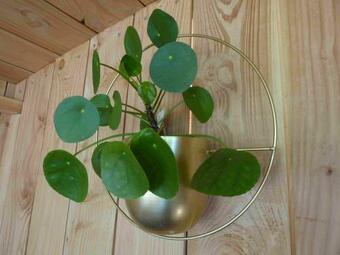 S�jour Ou Croisi�re Insolite En Bateau Habitable De Loire