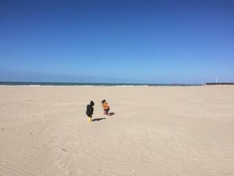 G�te De La Scierie