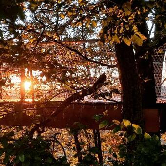 Le Monde D'echozellia