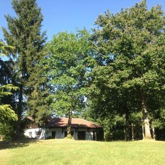 L?etang Carp Fishing Lake And Gite