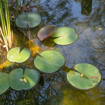 Bed & Breakfast Chambres D'h�tes Les Baumes