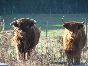 G�te Blaison-saint-sulpice, 3 Pi�ces, 4 Personnes - Fr-1-622-1