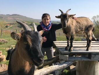 Bed & Breakfast L'esprit Des Vignes