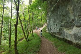 Gites � Saint L�on Sur Vezere