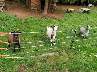 Apartamento La Parenth�se Au Pays Du Vert