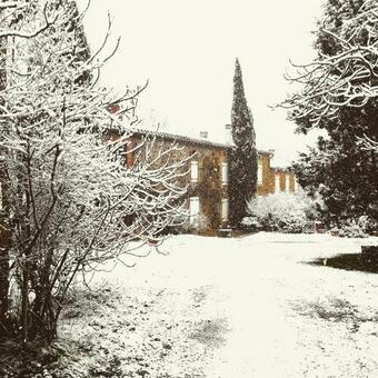 Pastel Au Mas D'escampette