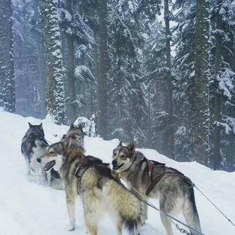 Lodge Bien-�tre Et Nature