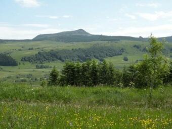 Gite Les 1000 Fleurs