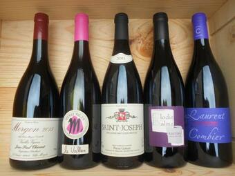 Bed & Breakfast Litdevin