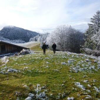 Apartamento Les Sapins Blancs