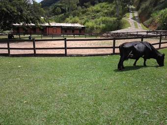 Hostal Haras Radachi